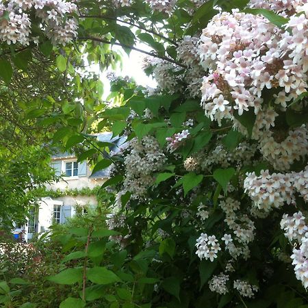 La Butte De Gohier Bed & Breakfast Blaison Екстериор снимка