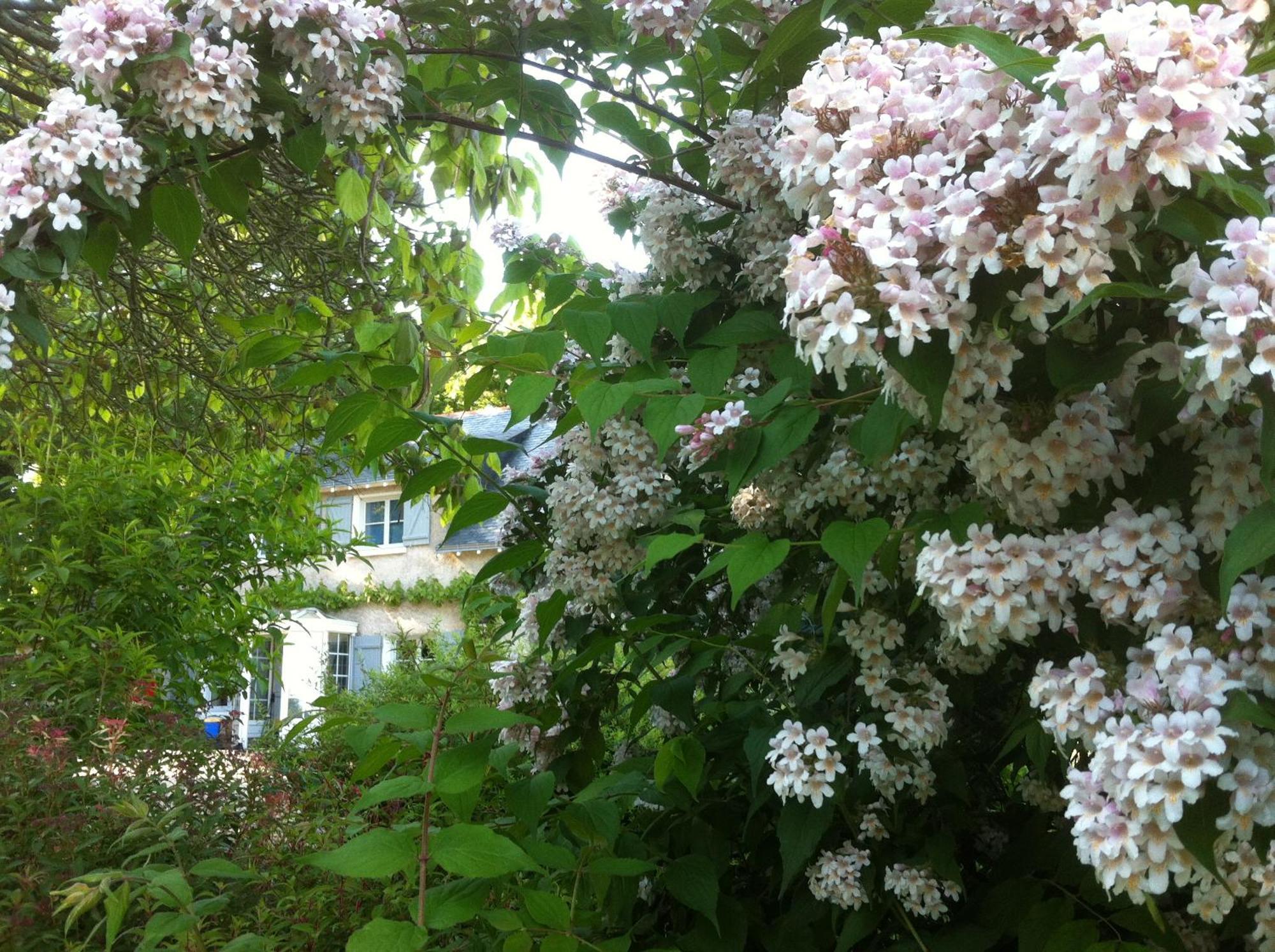 La Butte De Gohier Bed & Breakfast Blaison Екстериор снимка